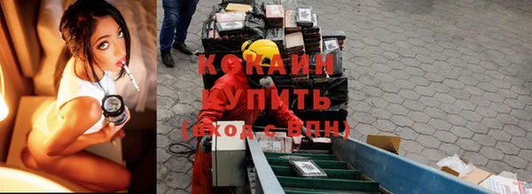 крисы Горнозаводск