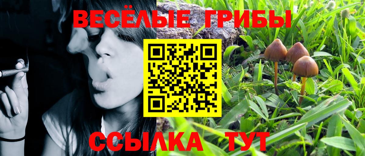 Ставрополь  Галлюциногенные грибы MAGIC MUSHROOMS  Галлюциногенные грибы MAGIC MUSHROOMS  сколько стоит  Вход с VPN 