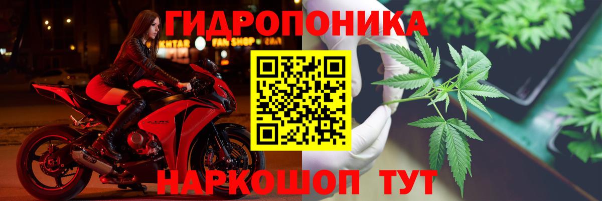 Канабис MAZAR  Марихуана гибрид  Ставрополь  Вход с VPN 